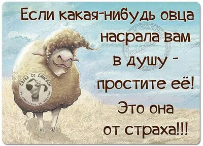 Позитивные мысли о женитьбе Ridero 37611990 купить за 420 ₽ в  интернет-магазине Wildberries