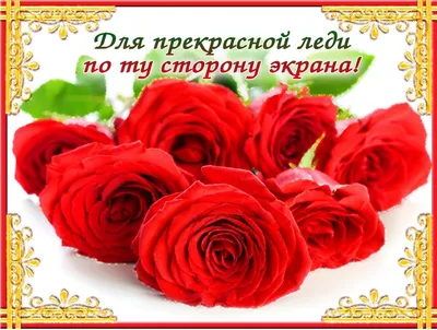 Пожелания прекрасной женщине, пусть дойдет до адресата🥰💝🌺🌺🌺🙏❤️ |  TikTok