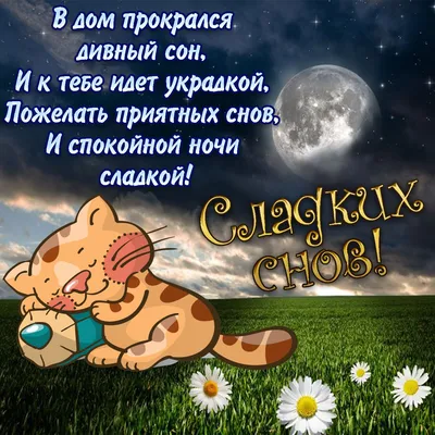 Доброй ночи, приятных сновидений - Лента новостей Мелитополя