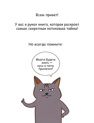 Лакшери-Котакшери. Смешные комиксы из жизни котиков и их человеков – купить  в интернет-магазине, цена, заказ online