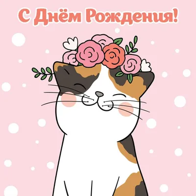 СМЕШНЫЕ ЖИВОТНЫЕ ❗🐱 ПРИКОЛЫ С КОТАМИ, СОБАКАМИ, ПОПУГАЯМИ И ДРУГИМИ  ЖИВОТНЫМИ - YouTube