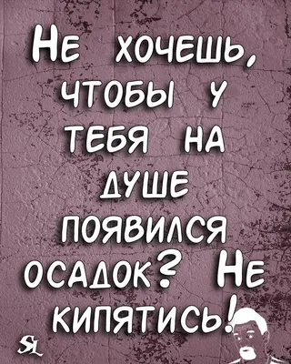 Смешные картинки с надписью про жизнь | Цитата про путешествия, Цитаты,  Правдивые цитаты