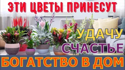 Картины для привлечения удачи и богатства: Мода, стиль, тенденции в журнале  Ярмарки Мастеров