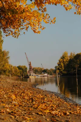 Почему осень хороша, и какие изменения в природе и жизни это подтверждают?