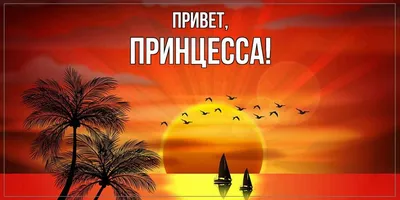 Открытка для любимых и родных Принцесса Привет. Открытки на каждый день с  пожеланиями для родственников.