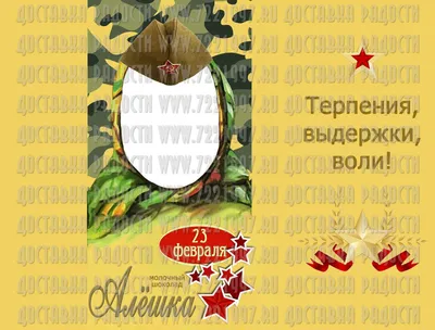 В Волгодонске школьникам предложили на 23 февраля поздравить солдат в зоне  СВО письмом с карателем-эсэсовцем