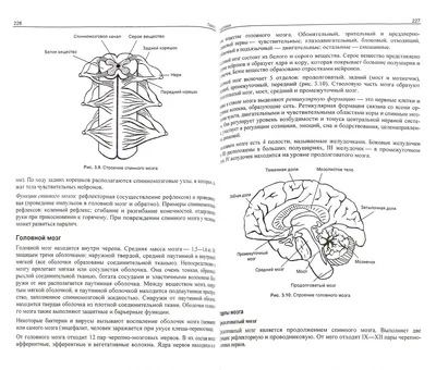 Стендум - Биология» - набор информационно-методических панелей (18 шт.)