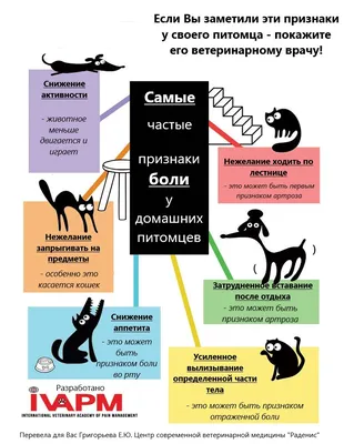 Боль различной локализации