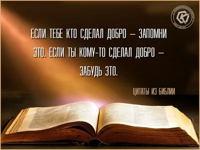 Добро пожаловать на поезд! Виммельбух с клапанами | Брокамп М. - купить с  доставкой по выгодным ценам в интернет-магазине OZON (487132377)