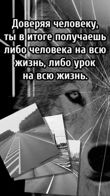 Говоря человеку ложь-теряешь доверие , говоря правду-теряешь человека в  2023 г | Мудрые цитаты, Правдивые цитаты, Цитаты