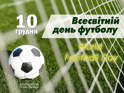 Футбол (#футбол) — лучшие анекдоты, мемы, фото-приколы на Hahata.ru