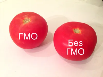 Чёрный список производителей ГМО-продуктов