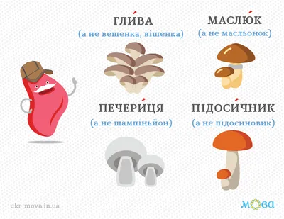 Купити гриби за вигідною ціною від Novus