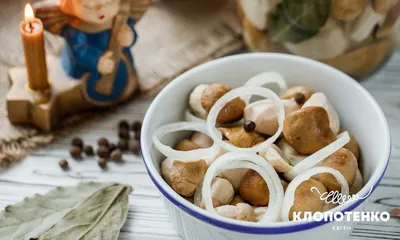 In Ukrainian. Mushrooms of Ukraine. У пошуках грибного царства. Гриби  України | eBay