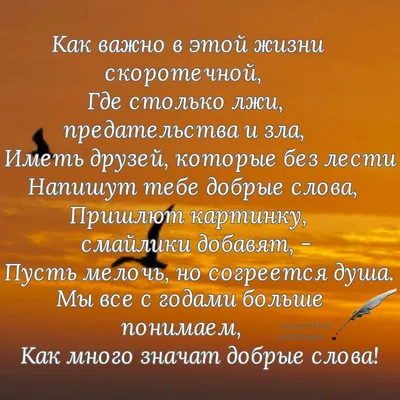 Жесткая цитата Пауло Коэльо про предательство и обман со стороны близких. В  ней главный совет – как себя вести в такой ситуации | Вера Бокарева | Дзен