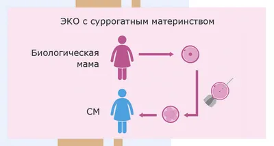 Материнство. Фотография, картинки, изображения и сток-фотография без  роялти. Image 46876755