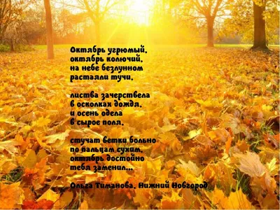 Надпись \"Привет, осень\" на белом шрифте на фоне ярких оранжевых цветов.  Стоковое Фото - изображение насчитывающей декор, творческо: 274180278