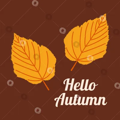 местная надпись привет осень с орнаментом из листьев PNG , местная надпись,  английский, Handletter PNG картинки и пнг PSD рисунок для бесплатной  загрузки