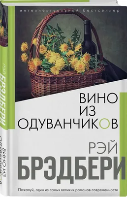 Анекдоты про летний отдых | ПЖ | Про Жизнь | Дзен