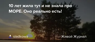 Руководителям в сфере образования - Уехать в путешествие вряд ли получится,  но есть много других приятных вещей, про которые не стоит забывать этим  летом. Вы много трудились, нужно хорошенько отдохнуть 🌴 Например,