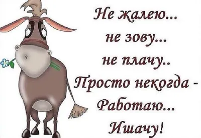 Подборка смешных сообщений из форумов про отдых. | Путешествия и позитив |  Дзен