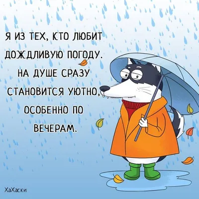 Смешные Коричневые Воды Собака Носить Красные Лыжные Очки В Снегу Солнечная  Погода Домашние Животные На Открытом Воздухе — стоковые фотографии и другие  картинки Лыжи - iStock