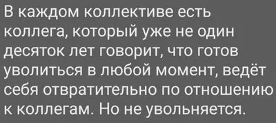 Михаил Долгов — год Евстифеева у власти: пустые надежды, пустые обещания ·  «7x7» Горизонтальная Россия