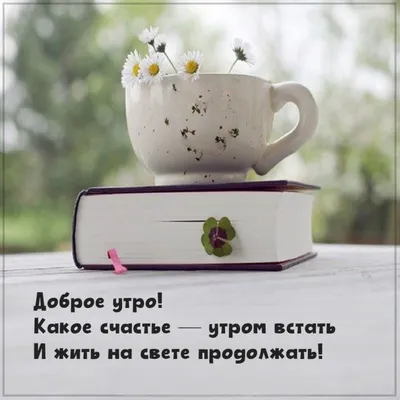 счастье #цель #цитата #картинкисосмыслом #жизнь #смысл #секрет | Картинки  со смыслом - Цитаты | ВКонтакте