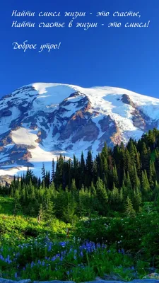 Смысл жизни заключается в счастье