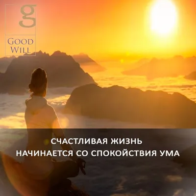 Счастливая жизнь начинается со спокойствия ума⠀ #goodwill⠀ #умныемысли⠀  #мысливслух⠀ #деньги⠀ #предприниматель⠀ #мечта … | Мотивация, Вдохновляющие  цитаты, Мудрость