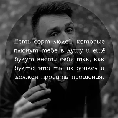 30 мудрых цитат о жизни, людях со смыслом Любимые цитаты на каждый день |  Глоток Мотивации | Дзен