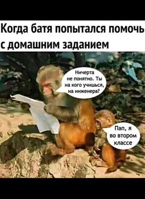 Картинки про школу смешные