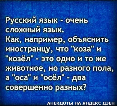 Татьяна Голикова / смешные картинки и другие приколы: комиксы, гиф  анимация, видео, лучший интеллектуальный юмор.