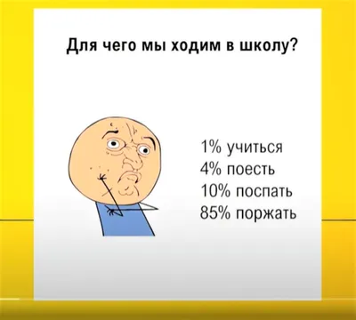 Образование в Румынии: как записать ребенка в школу или детский сад, учеба  в университете - Dopomoha