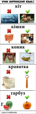 Экс-премьер унизил Зеленского за смешное решение по Украине - РИА Новости,  17.12.2023