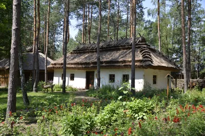 Як виглядало українське село понад 100 років тому – унікальні історичні  світлини