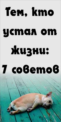 Вас беспокоят боли в теле?Cидячая работа и неподвижный образ жизни?  Постоянная усталость? Я помогу Вам избавиться от этого! 7 лет опыта в… |  Instagram