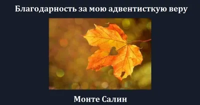 Актрису Веру Васильеву похоронят на Новодевичьем кладбище Москвы