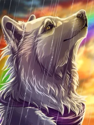 Влюблённая парочка волков из аниме — Картинки и аватары