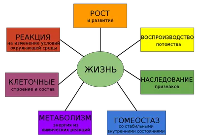 Zhizn po vyzovu (TV Series 2022– ) - IMDb