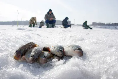 В первый раз на зимнюю рыбалку | статьи от Кемпинг.ру