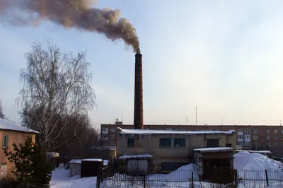 Экологические проблемы современности», в рамках программы «Охрана  окружающей среды» — МБУ Библиотека Первомайского Сельского Поселения