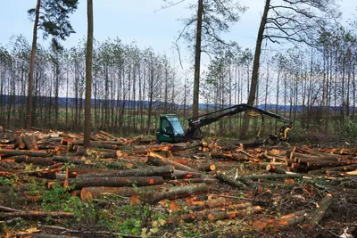 Можно ли решить проблемы экологии в рамках одной страны? - Газета «Огни  Алатау»