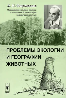 11 глобальных экологических проблем и пути их решения 2024-2025: какие  возникают и существуют, основные причины появления в современном мире