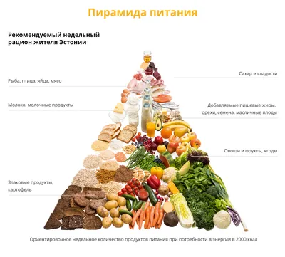 Бесплатные продукты питания начали раздавать в Казахстане
