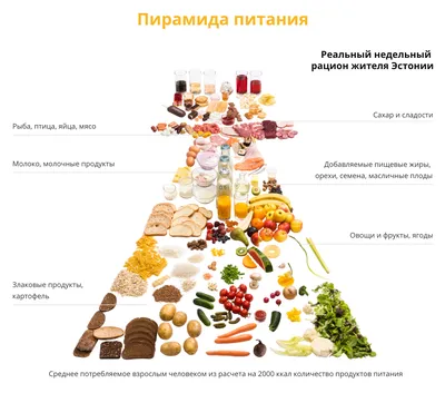Здоровое питание – Новости – Отдел социальной защиты населения г. Звенигород
