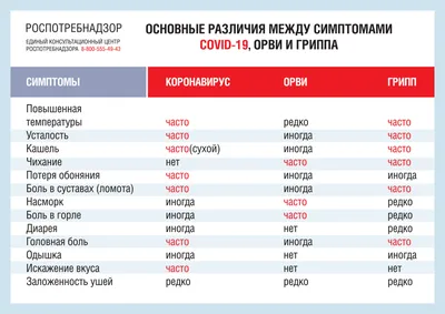 Информационные материалы о мерах личной и общественной профилактики гриппа,  ОРВИ и коронавирусной инфекции | Официальный сайт Правительства Псковской  области