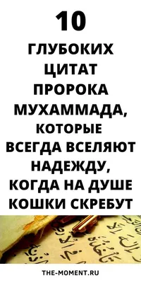 Армяне — друзья Ислама со времен Пророка Мухаммеда – ИА Реалист: новости и  аналитика