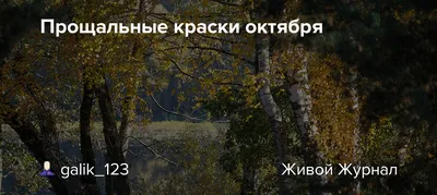 Прощальные вспышки Родины (Леонид Нестеров) Издательские решения (ISBN  9785448382802) купить за 3 руб в Старом Осколе - SKU5872441