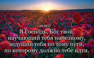 Остап Парфёнов (Ostap Parfenov) – ПРОСТО ДРУЗЬЯ (JUST FRIENDS) Lyrics |  Genius Lyrics